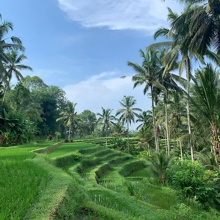Ani'S Traditional Jungle Villa Ubud