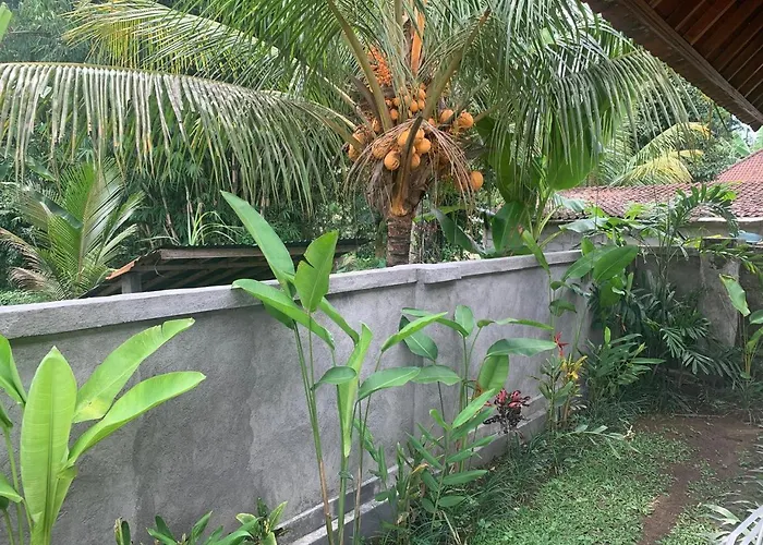 Ani's Traditional Jungle ゲストハウス